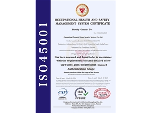 ISO45001质量管理体系认证证书—英文